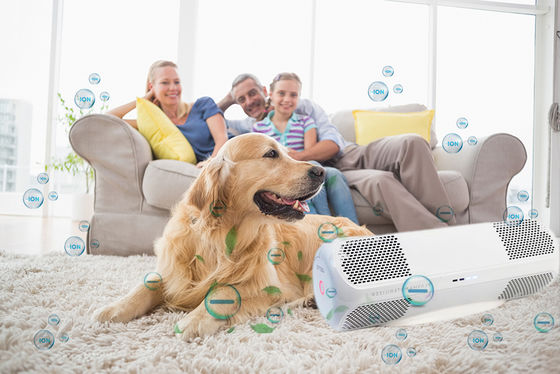 المطهر الجوي ABS مع العفن الخاص يقتل فيروسات الأنفلونزا H1N1 البكتيريا الفطريات OEM / ODM