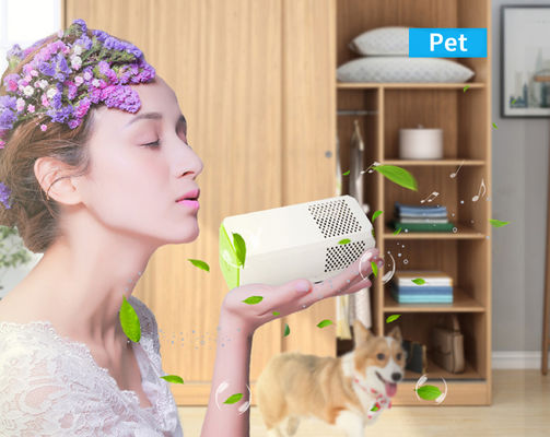 نظيفة هواء غرفة صغيرة المرحاض المطبخ مثالية لإزالة المواد المسببة للحساسية حبوب اللقاح والروائح